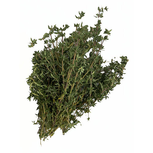 files/Thyme.jpg