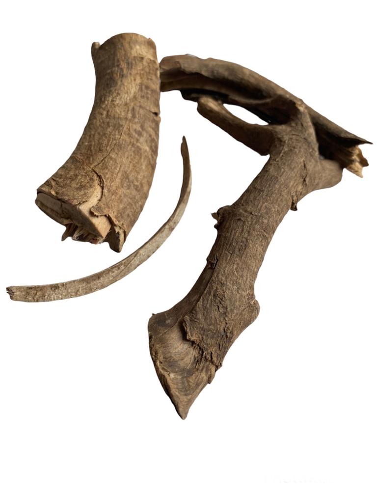 Genni Wild Caribbean Bois Bande 40g