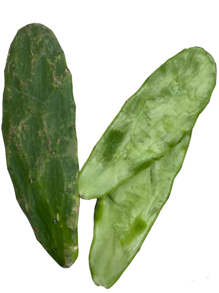Tuna (Prickly Pear Cactus) Small 100g-150g