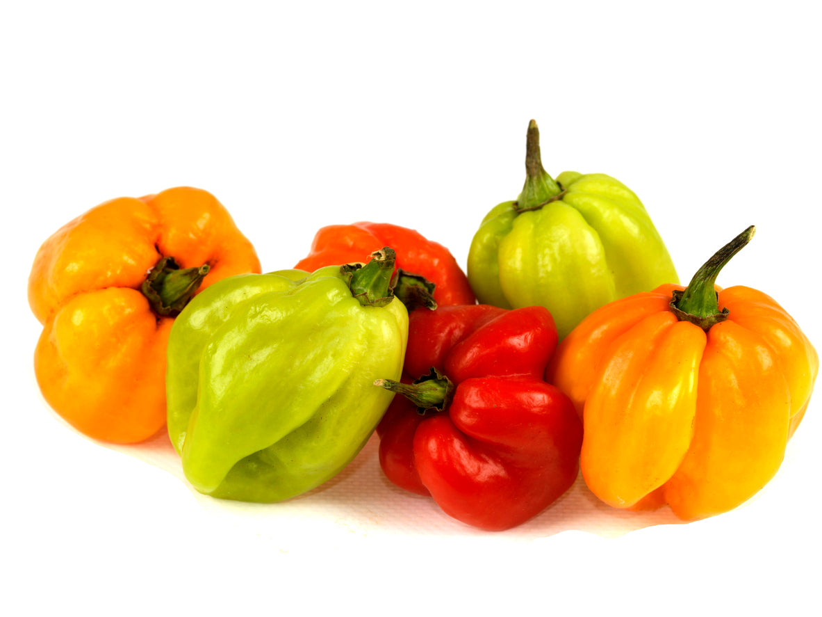 Scotch Bonnet Peppers